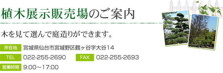 植木展示販売場のご案内