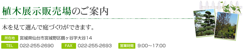 植木展示販売場のご案内