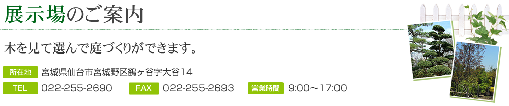 植木展示販売場のご案内