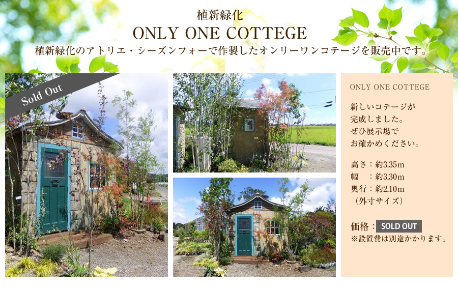 Only One Cottage1