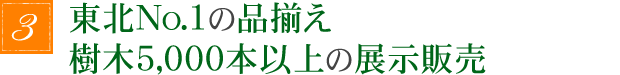 東北No.1の品揃え 樹木5,000本以上の展示販売