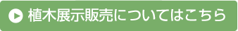 植木展示販売についてはこちら