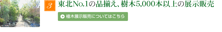 東北No.1の品揃え 樹木5,000本以上の展示販売